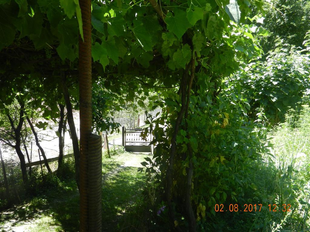 Marina Chartolani'S Guest House Mestia Zewnętrze zdjęcie
